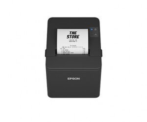 EPSON TM-T20IVL-001 USB-SRL C31CL45001